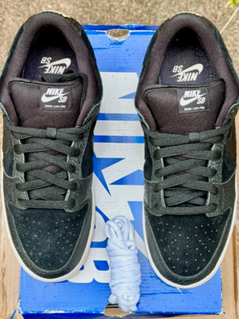 VNDS Nike Dunk Premium SB QS Low Nontourage- SIZE 11